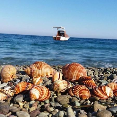 Κατοικία Πανόραμα, Πραγματευτή Λεωνιδίου, Τ.Κ.22300 เลโอนีดีออน ภายนอก รูปภาพ