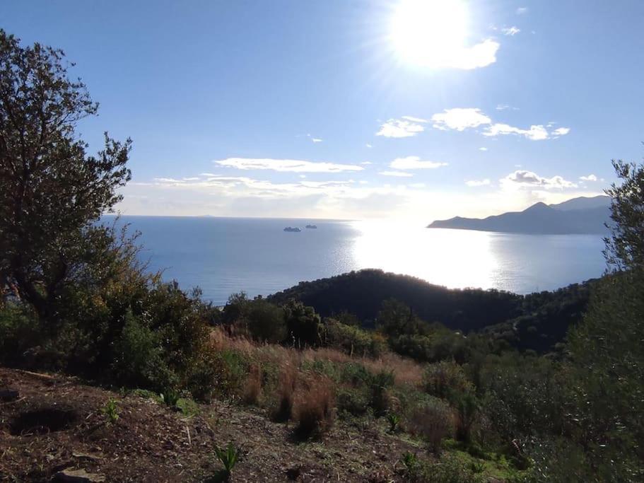 Κατοικία Πανόραμα, Πραγματευτή Λεωνιδίου, Τ.Κ.22300 เลโอนีดีออน ภายนอก รูปภาพ